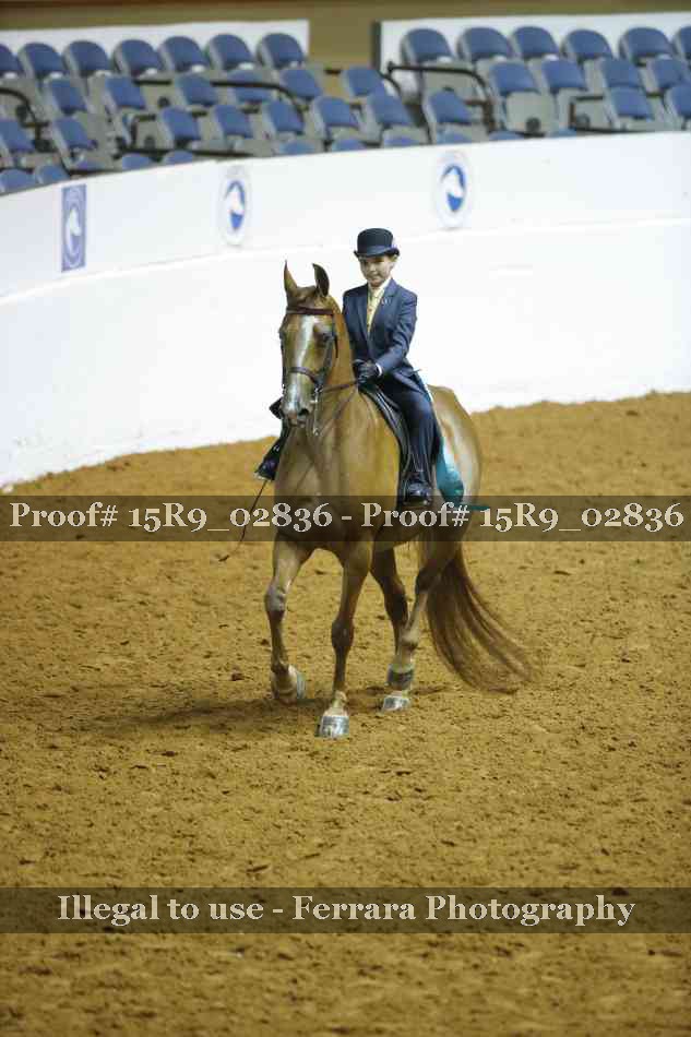 Proof 15R9_02836
