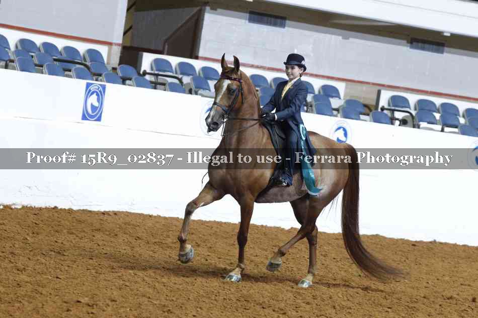 Proof 15R9_02837