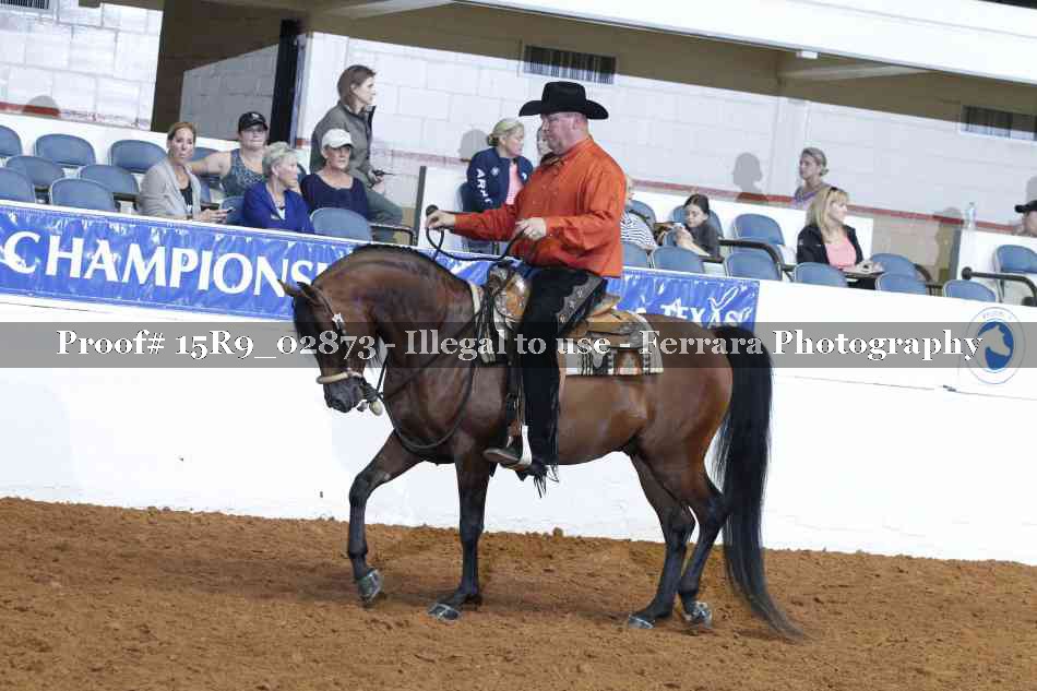 Proof 15R9_02873