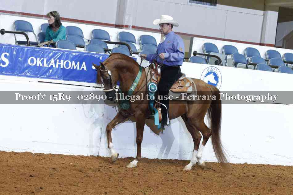Proof 15R9_02890