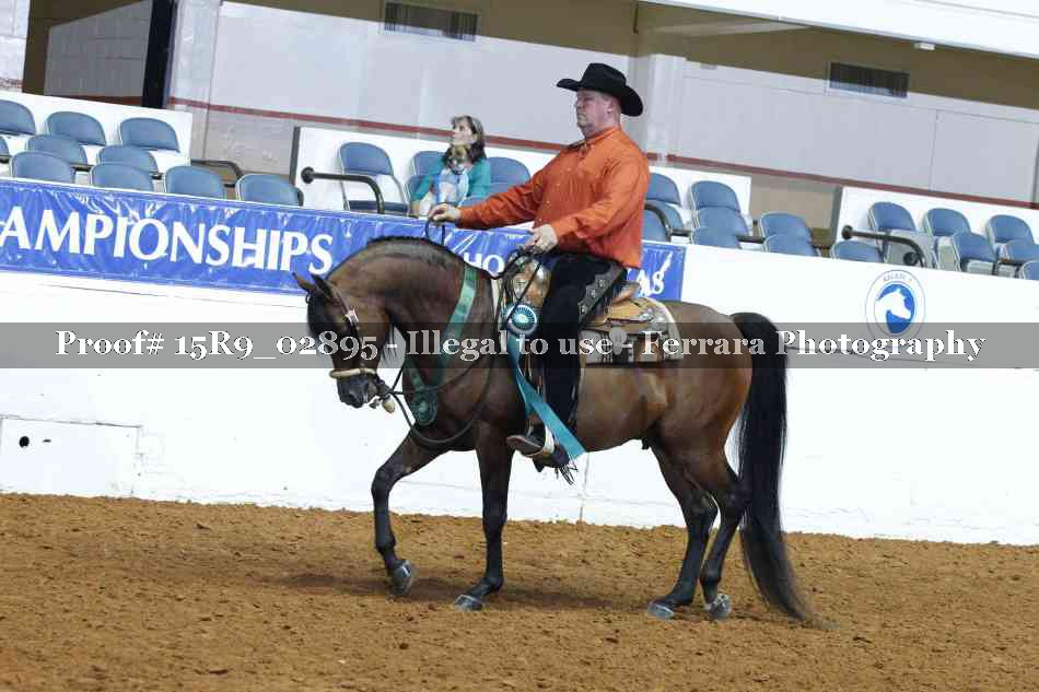Proof 15R9_02895
