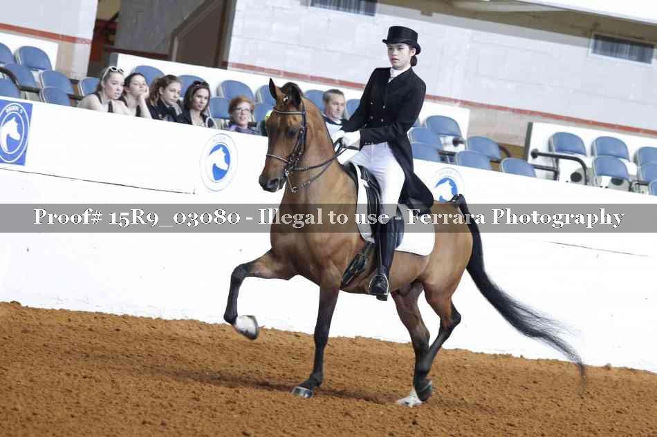 Proof 15R9_03080
