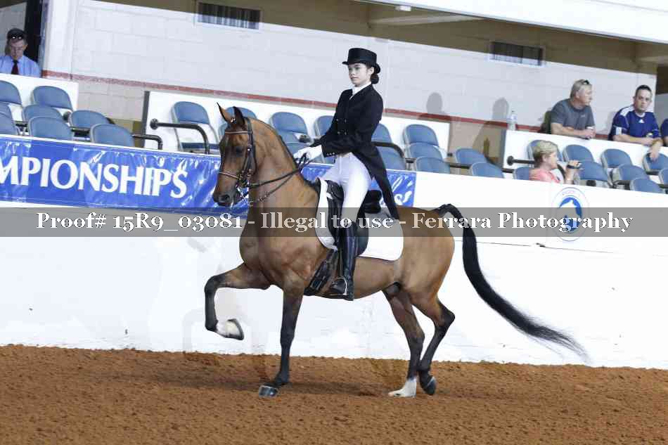 Proof 15R9_03081