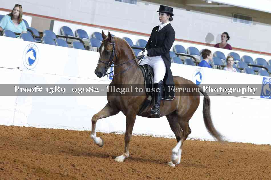 Proof 15R9_03082