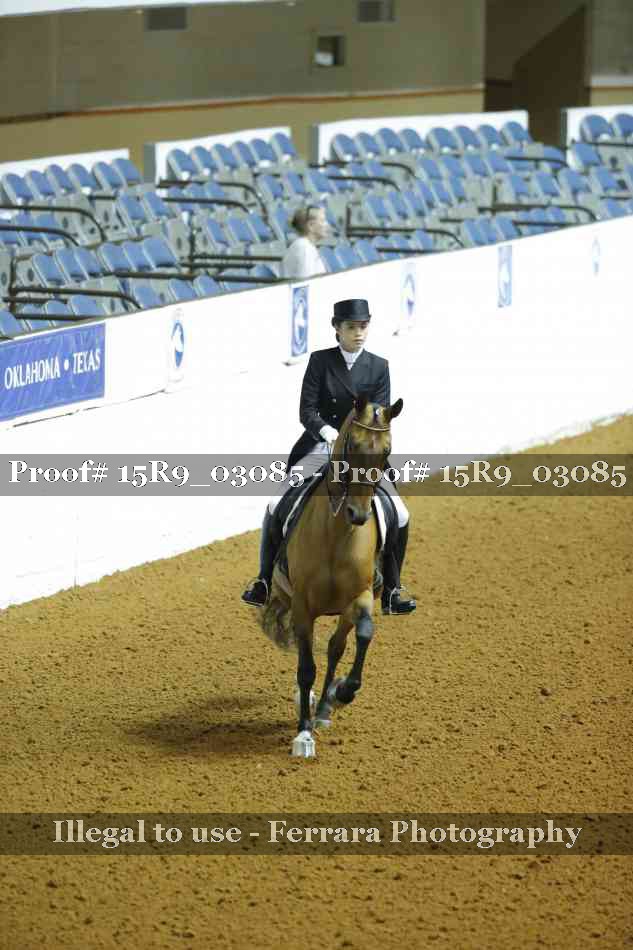 Proof 15R9_03085