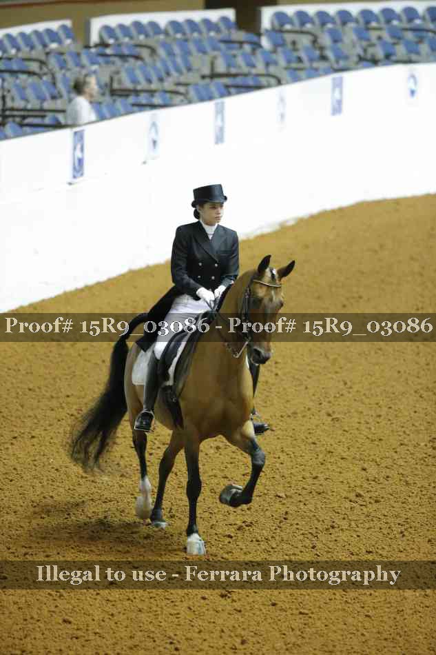 Proof 15R9_03086