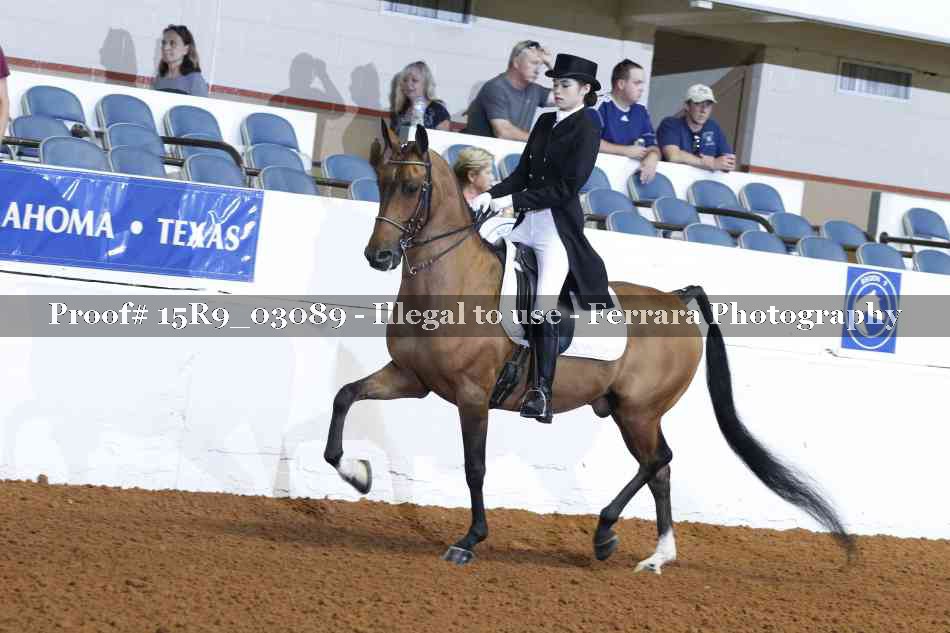 Proof 15R9_03089