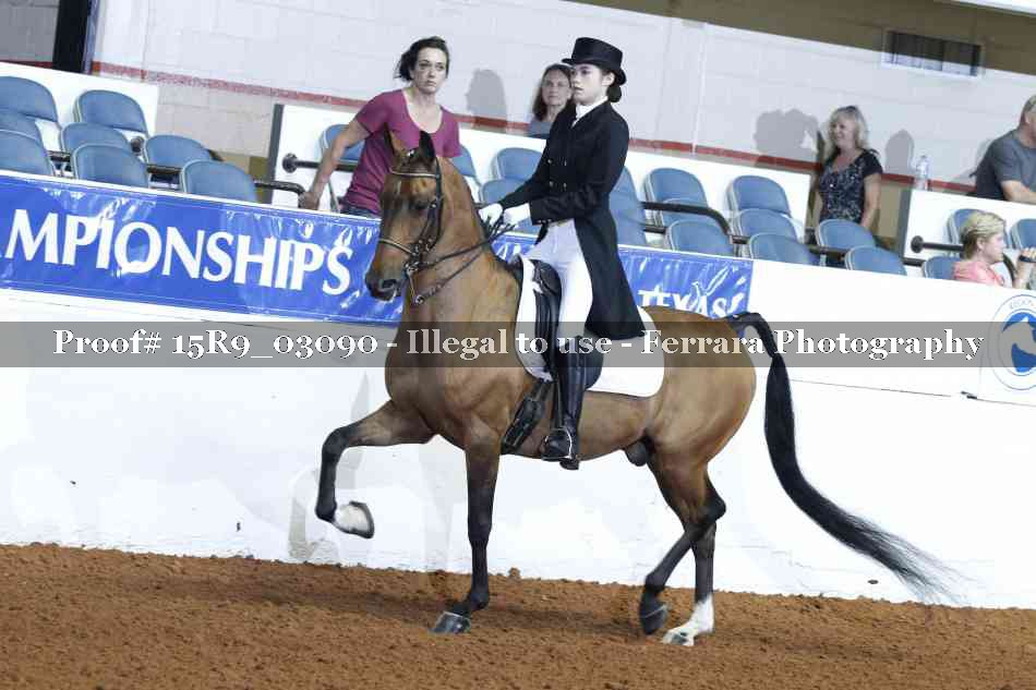 Proof 15R9_03090