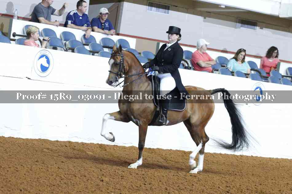 Proof 15R9_03091