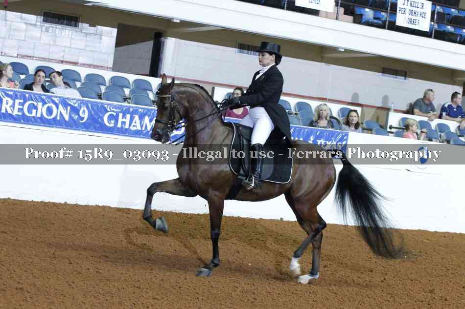 Proof 15R9_03093