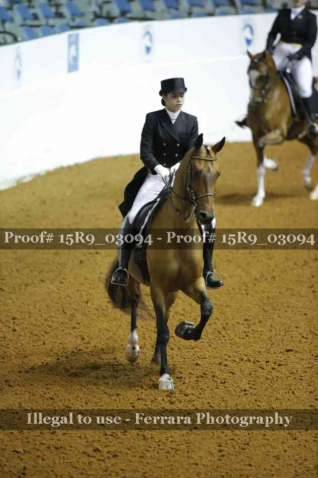 Proof 15R9_03094