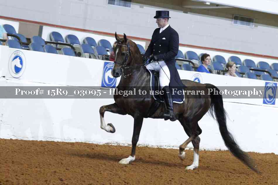 Proof 15R9_03095