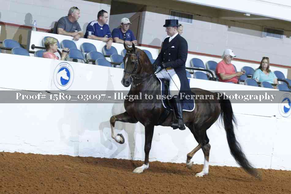 Proof 15R9_03097