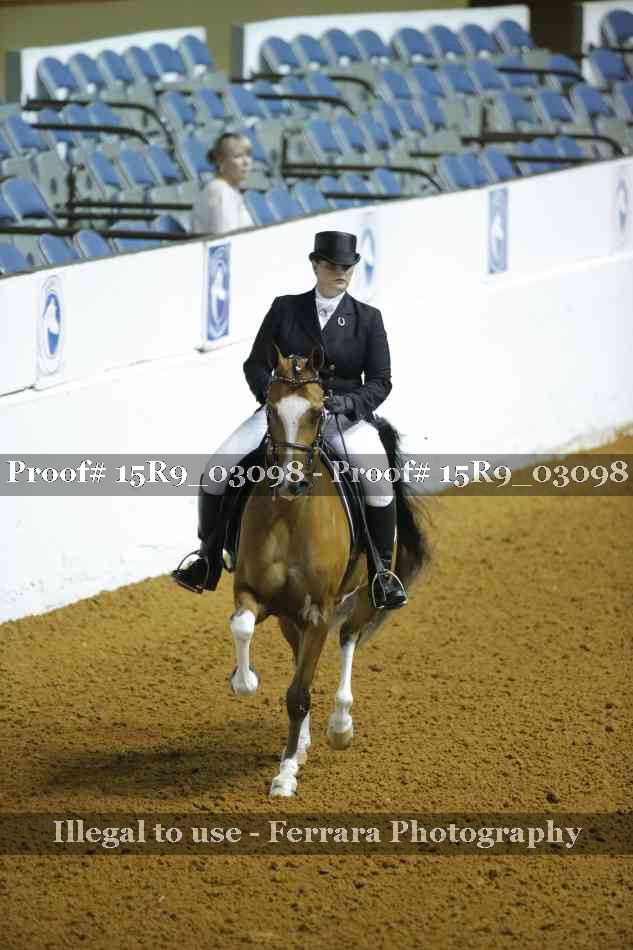 Proof 15R9_03098