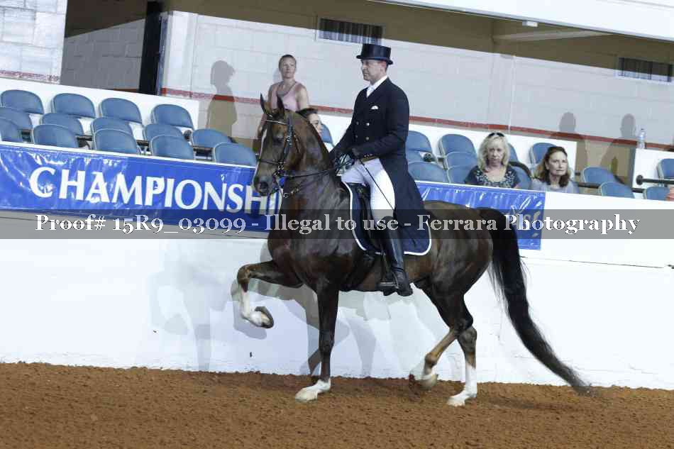 Proof 15R9_03099