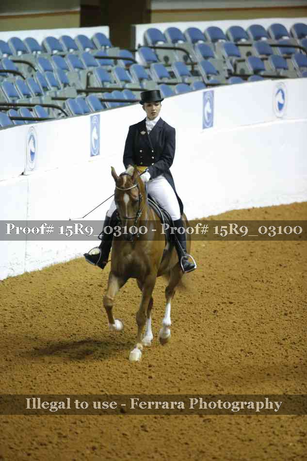 Proof 15R9_03100