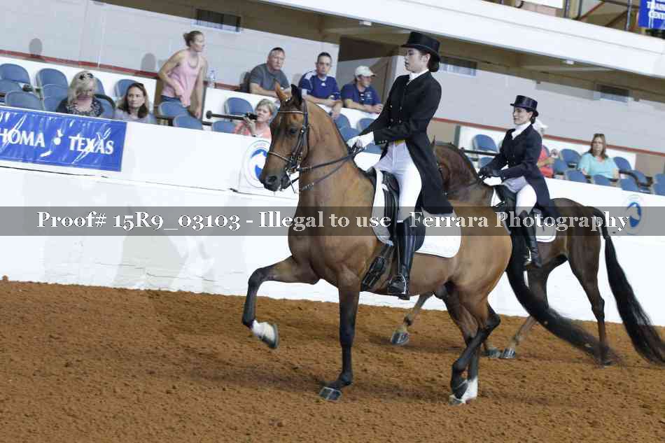 Proof 15R9_03103