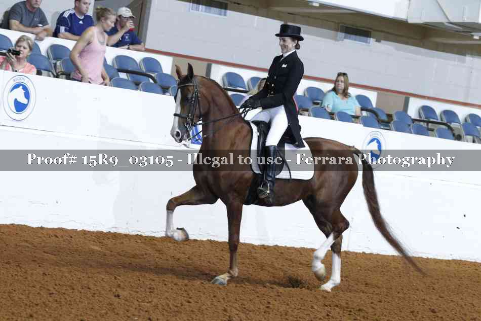 Proof 15R9_03105