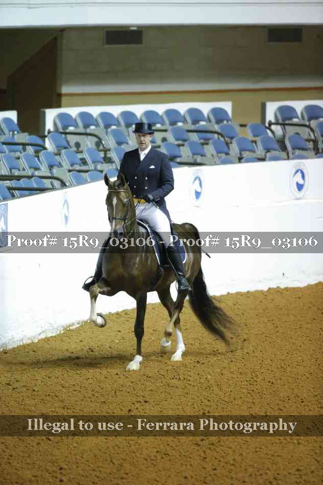 Proof 15R9_03106