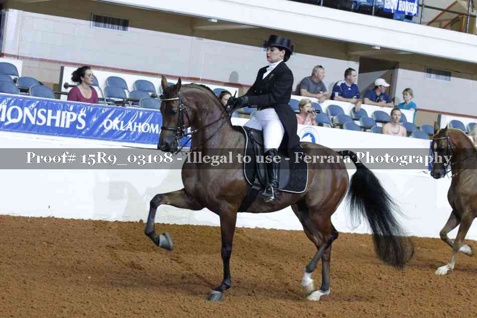 Proof 15R9_03108