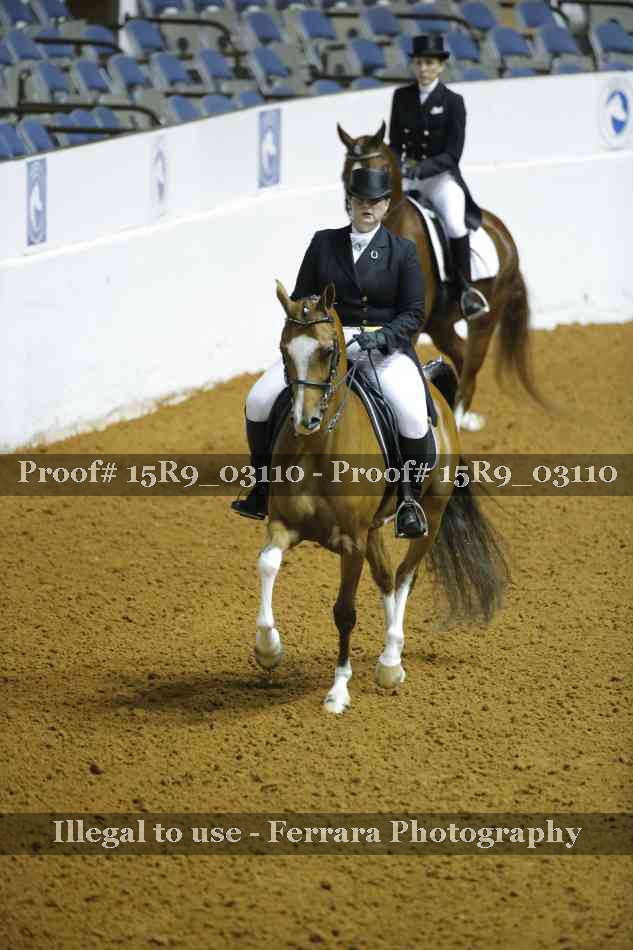 Proof 15R9_03110