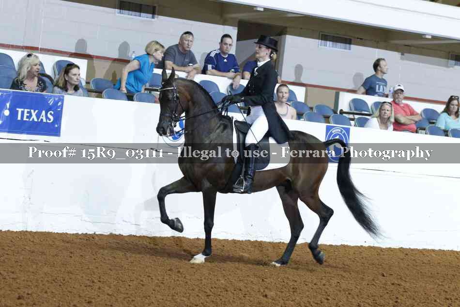 Proof 15R9_03111