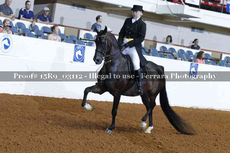 Proof 15R9_03112
