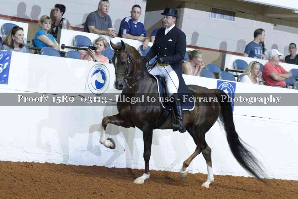 Proof 15R9_03113