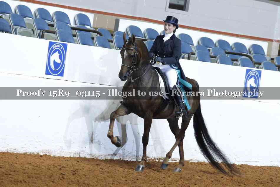 Proof 15R9_03115