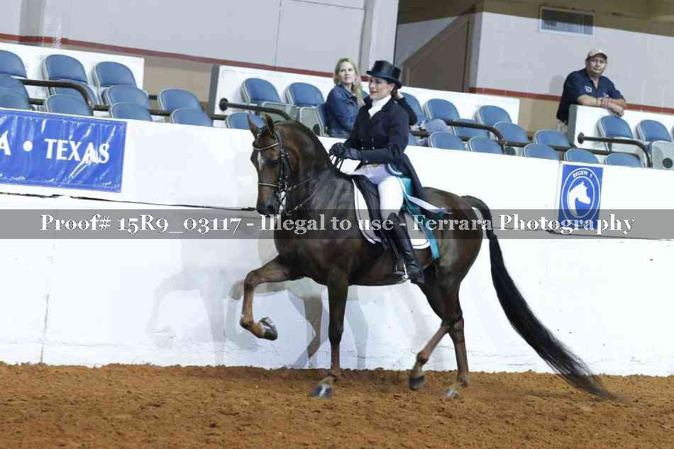 Proof 15R9_03117