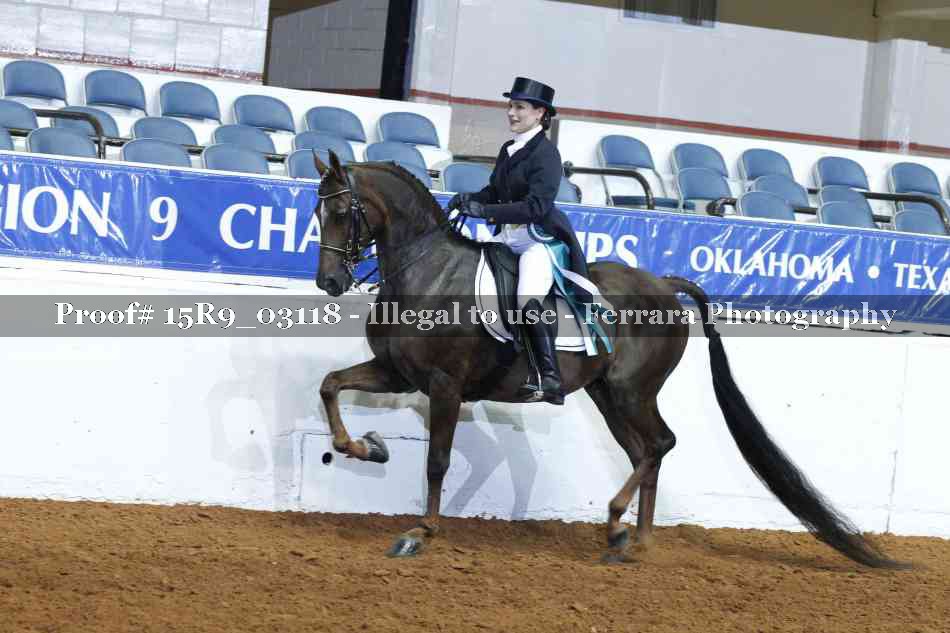 Proof 15R9_03118