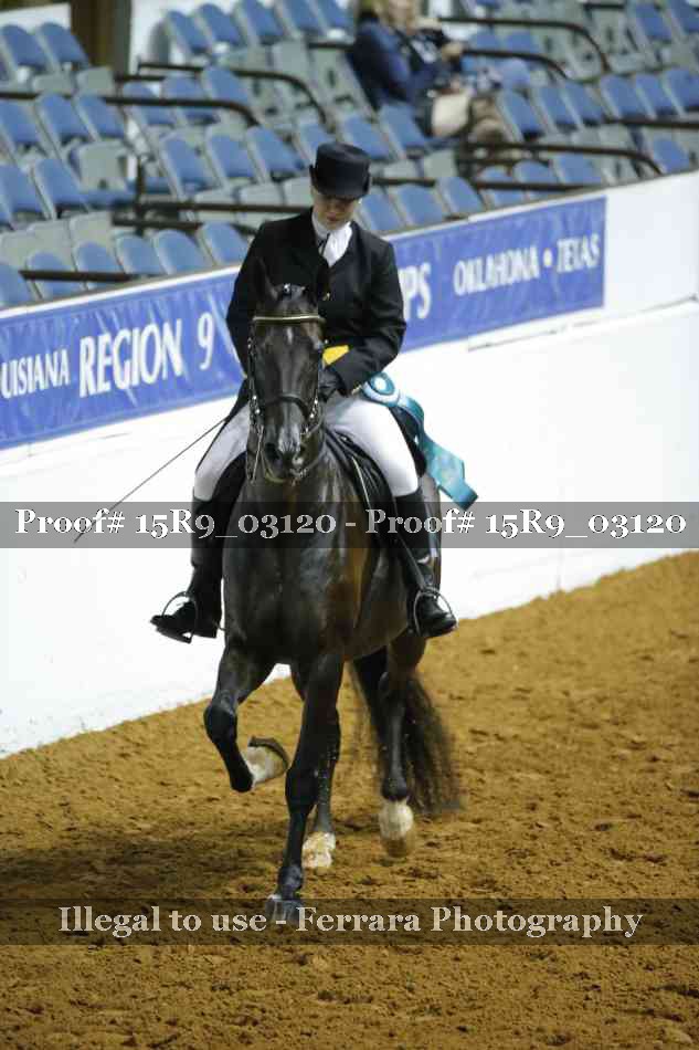 Proof 15R9_03120