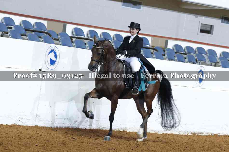 Proof 15R9_03125