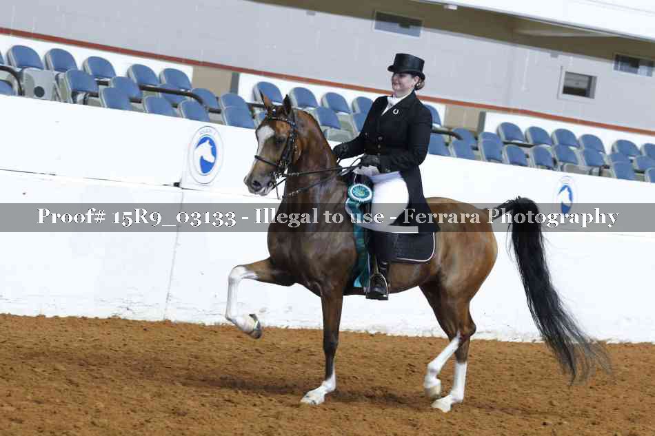 Proof 15R9_03133