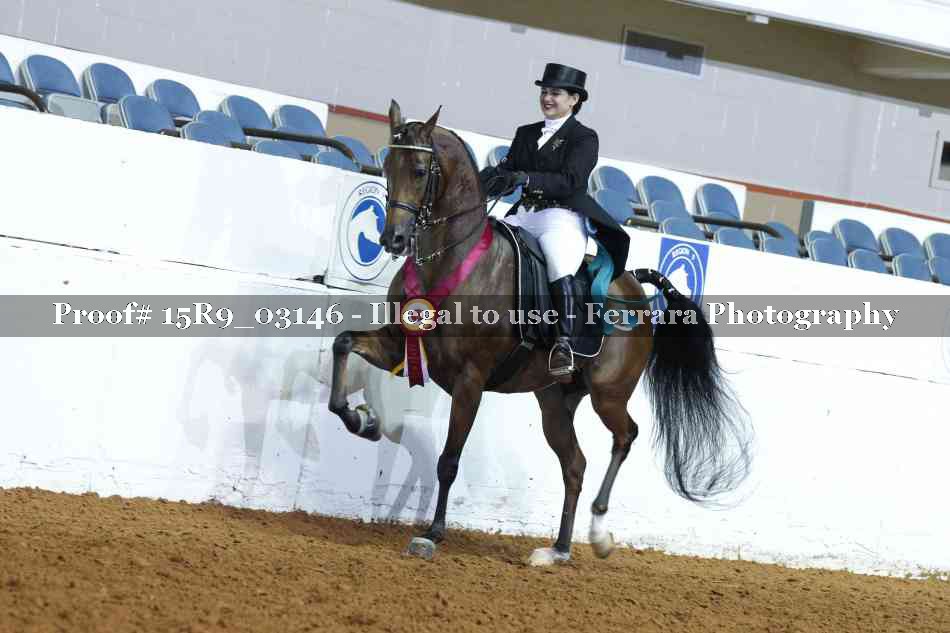 Proof 15R9_03146