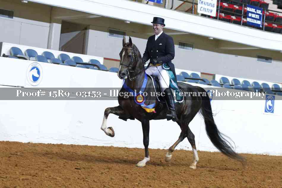 Proof 15R9_03153