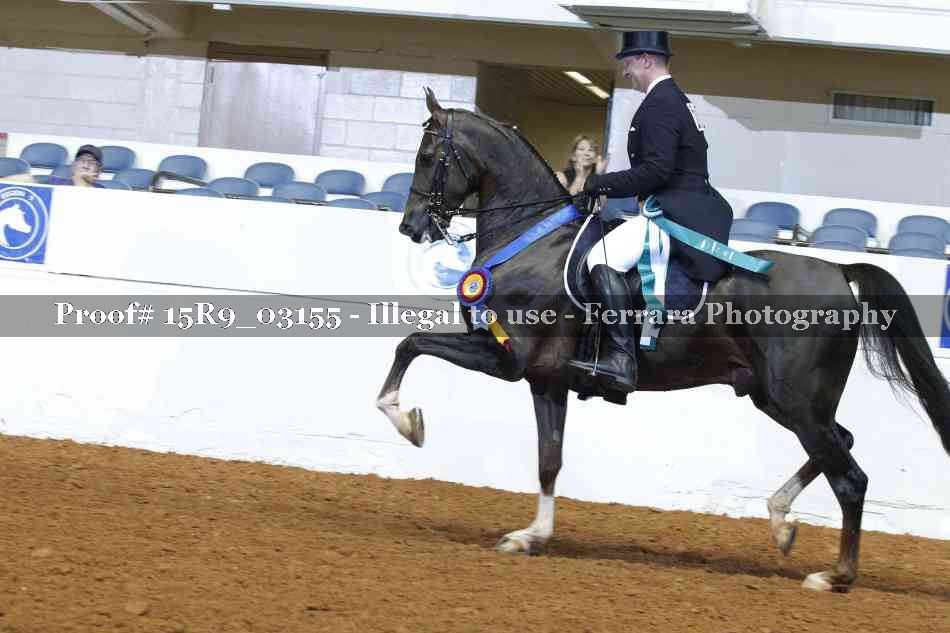 Proof 15R9_03155