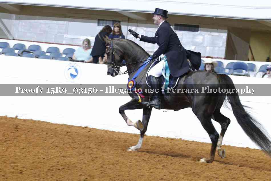 Proof 15R9_03156