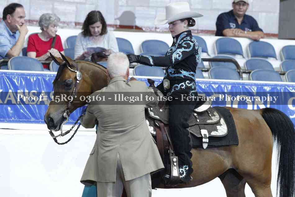 Proof 15R9_03161