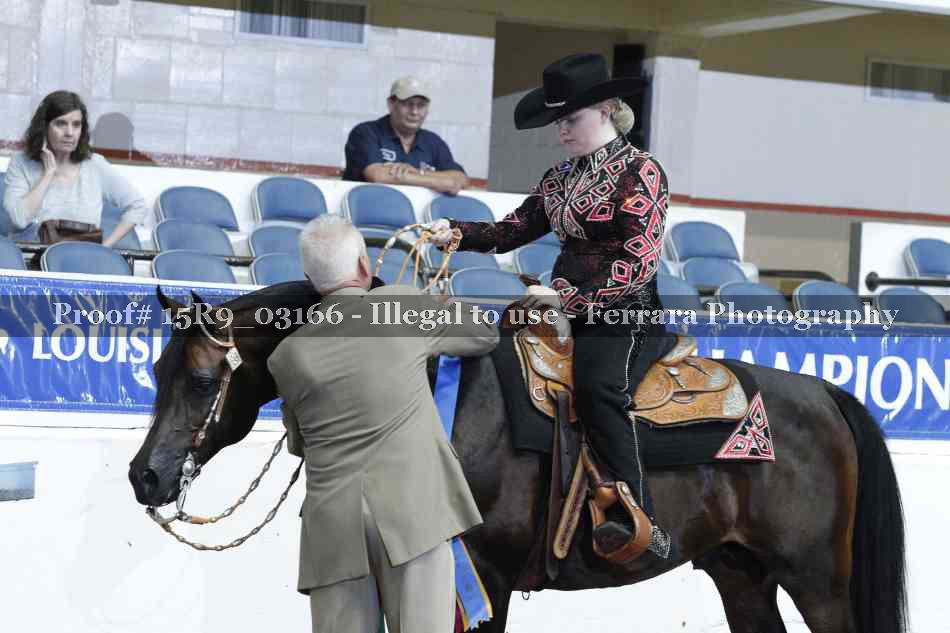 Proof 15R9_03166