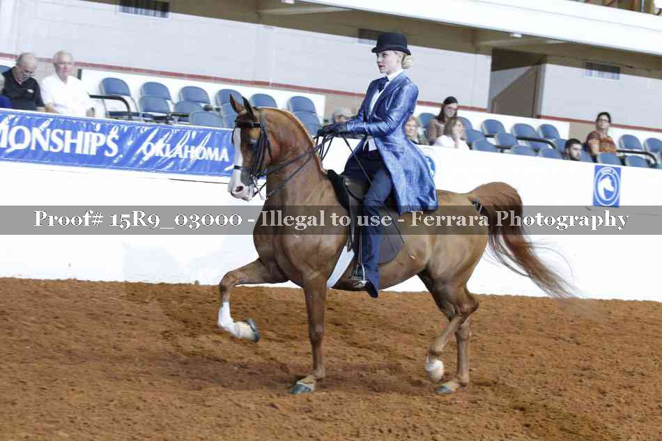 Proof 15R9_03000