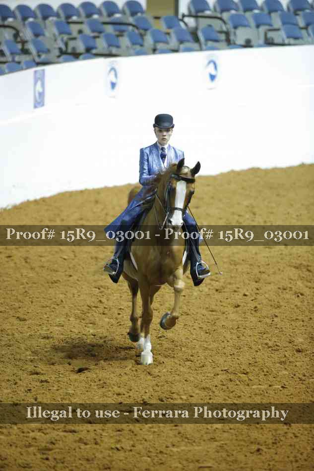 Proof 15R9_03001