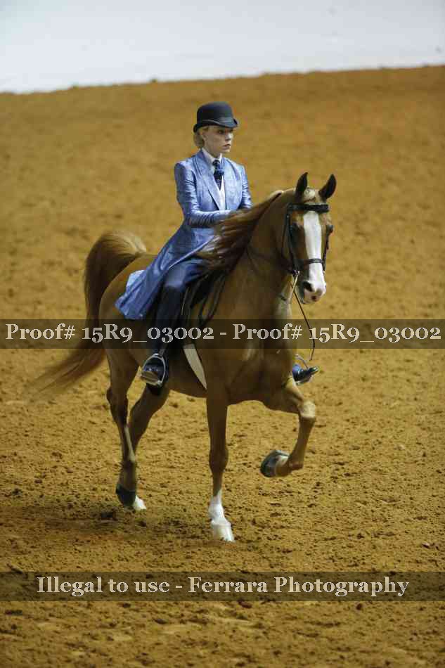 Proof 15R9_03002