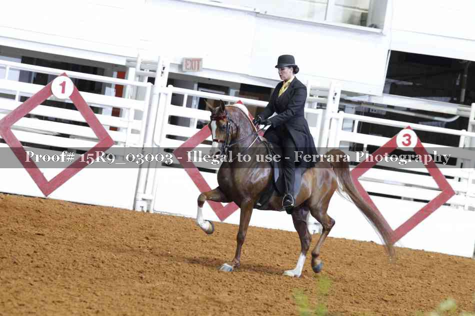 Proof 15R9_03003