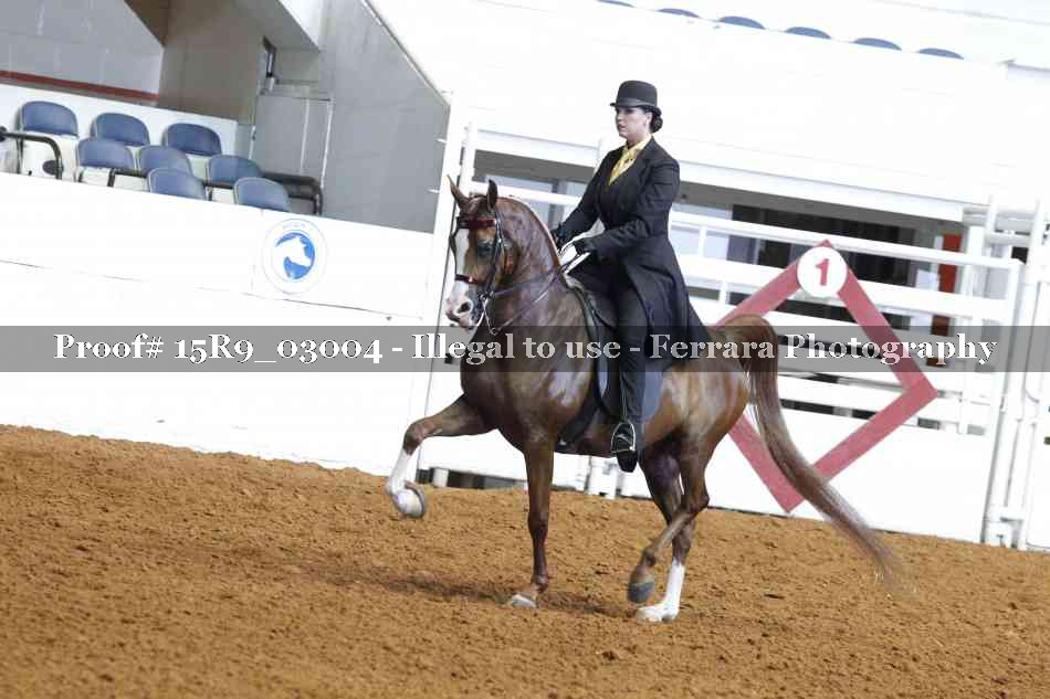 Proof 15R9_03004