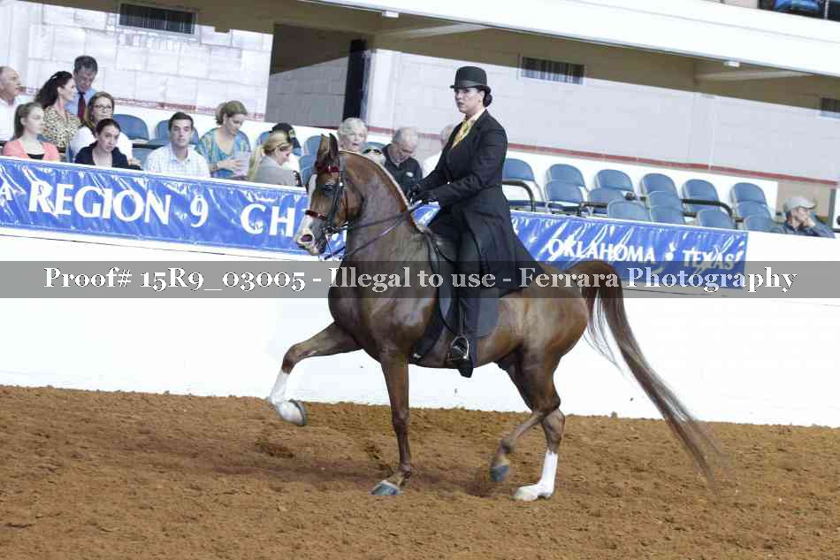 Proof 15R9_03005