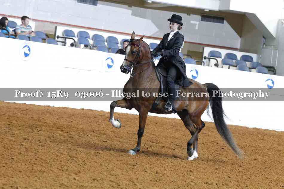 Proof 15R9_03006