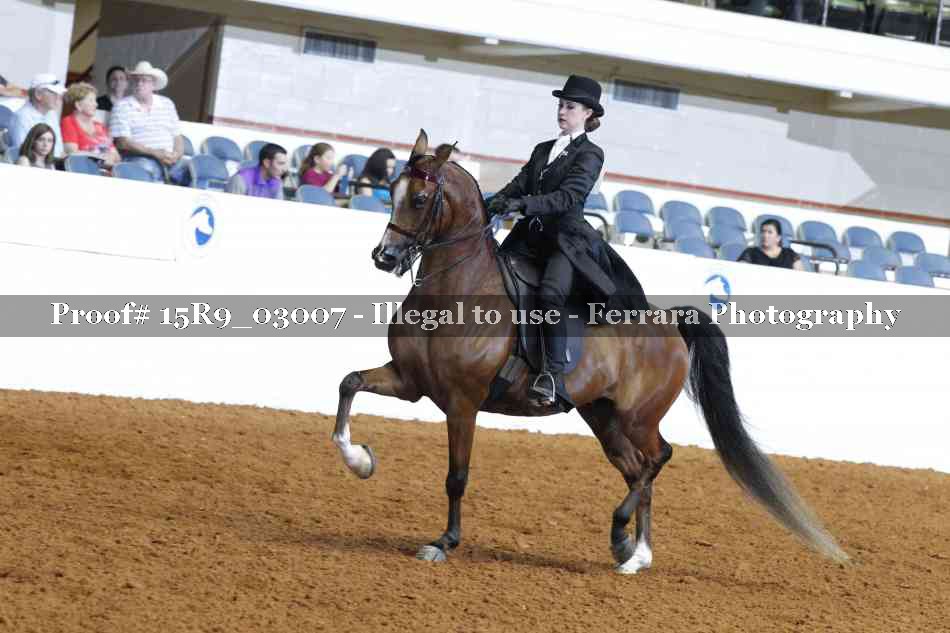 Proof 15R9_03007