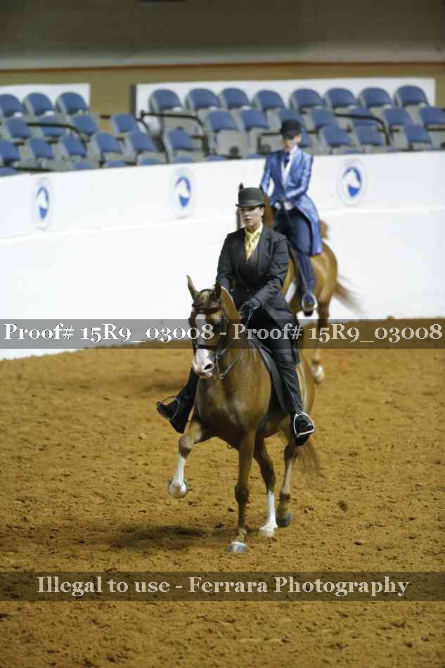 Proof 15R9_03008