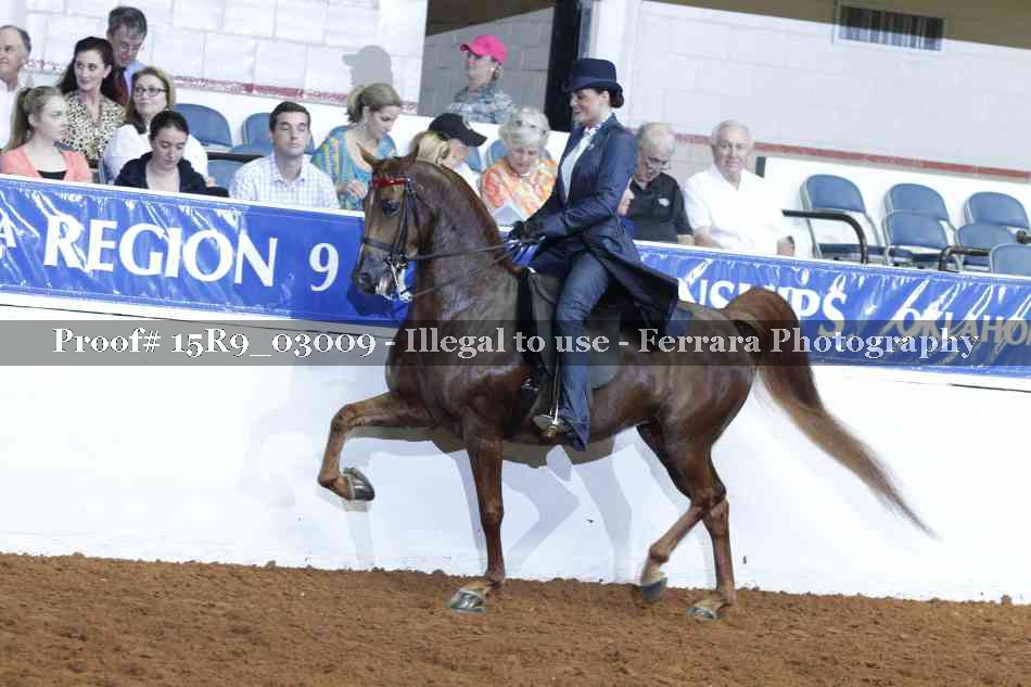 Proof 15R9_03009